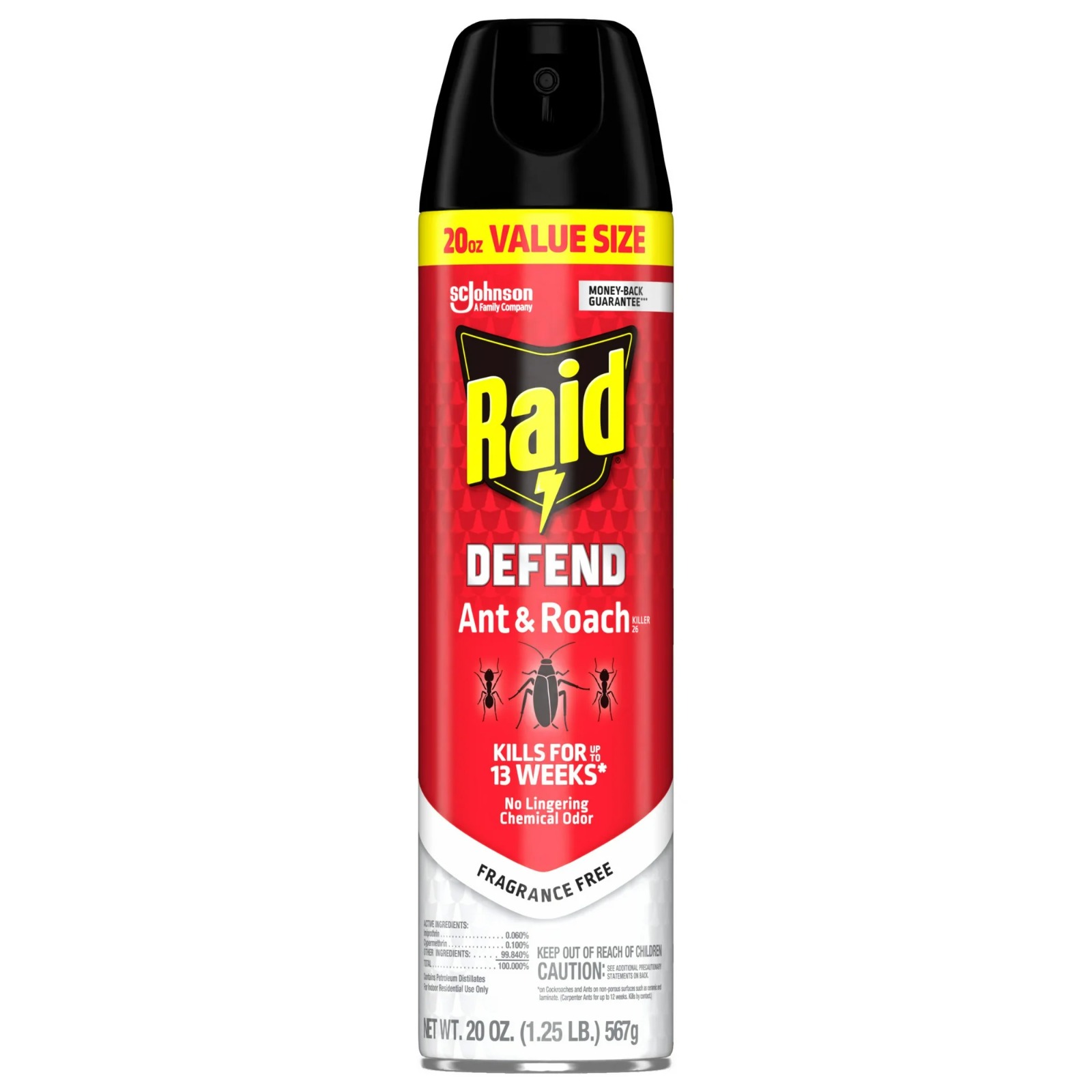 SP Raid Value Size Defend Ant & Roach 20 Oz